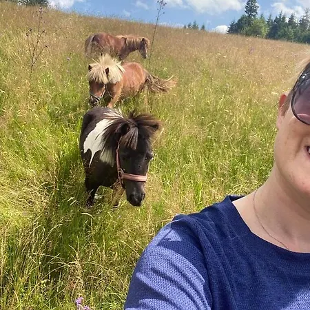 Gorski U Papierzy Sauna, Jacuzzi,