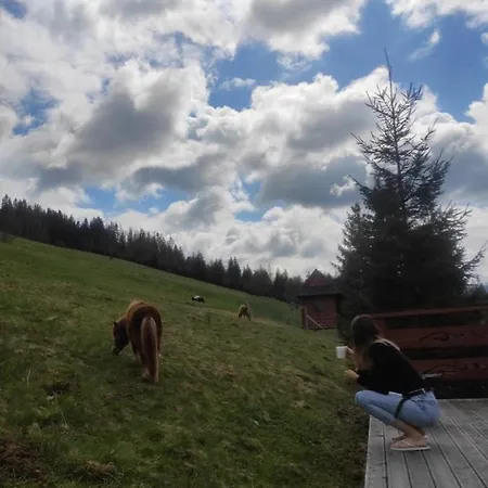 Gorski U Papierzy Sauna, Jacuzzi, * Witów